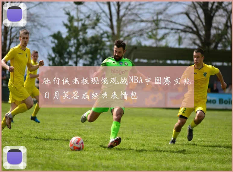 独行侠老板现场观战NBA中国赛女兆日月笑容成经典表情包